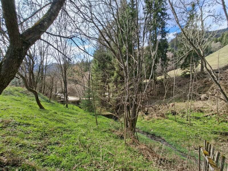 15884-Grundstücksgrenze Rosskoglergraben