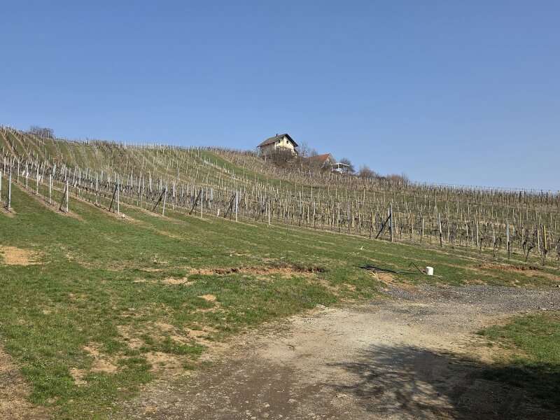 Chalet in Klöchberg - Bild 3