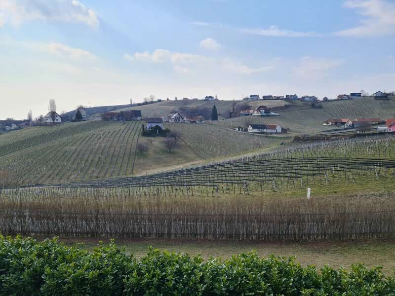 Einfamilienhaus in Klöch - Bild 18