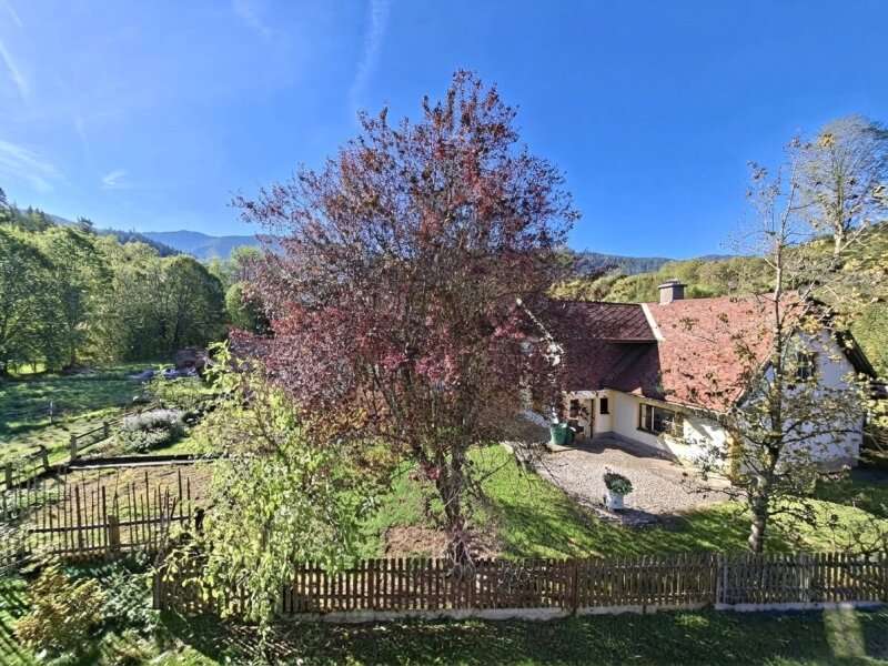 Haus Kernhof: 15971-Hinterhof und Hausgarten Altbau 15971-Hinterhof und Hausgarten Altbau