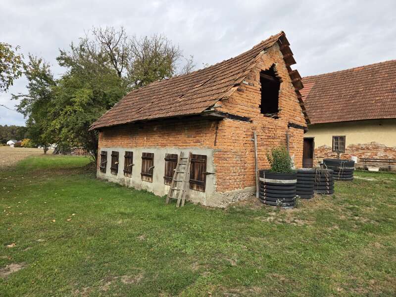 Bauernhaus in Deutsch Goritz - Bild 7