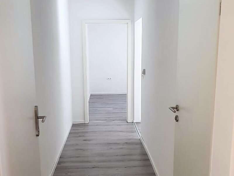 158401-Diele