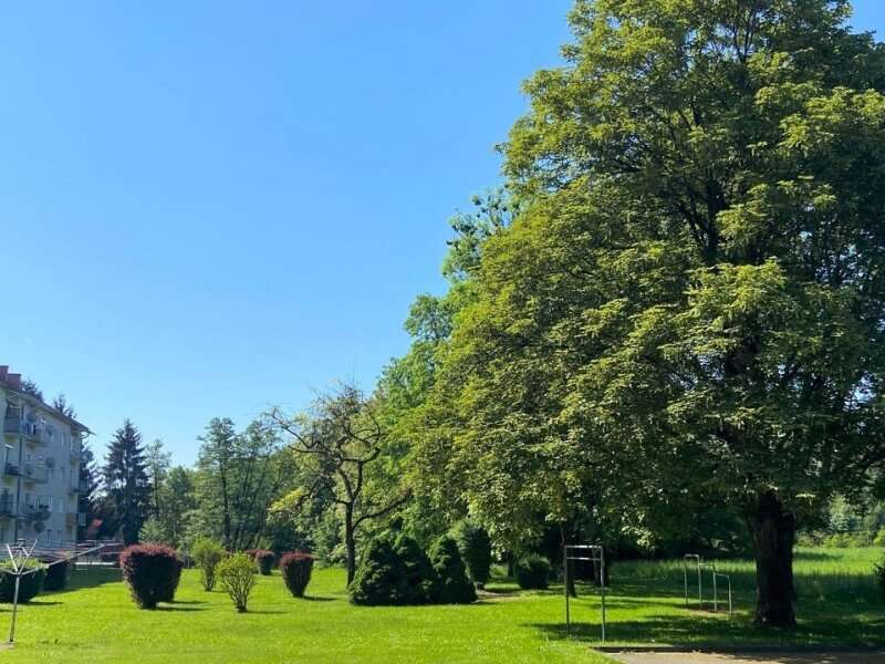 Eigentumswohnung in Bad Radkersburg - Bild 11 Eigentumswohnung in Bad Radkersburg - Bild 11