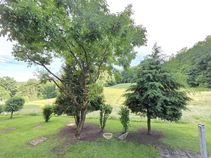 Eigentumswohnung in Ehrenhausen - Bild 10
