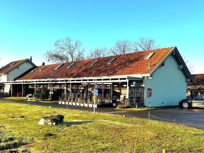 Galeriewohnung in Bad Radkersburg - Bild 9 Galeriewohnung in Bad Radkersburg - Bild 9