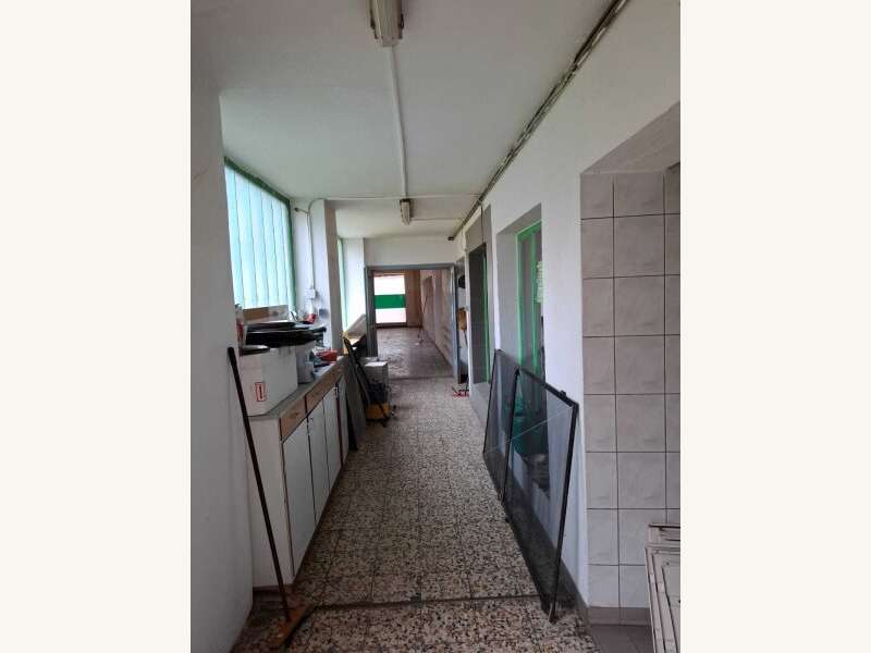 Geschäftslokal in Seefeld-Kadolz - Bild 13