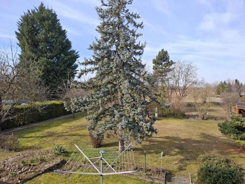 Einfamilienhaus in Großkadolz - Bild 23 Einfamilienhaus in Großkadolz - Bild 23