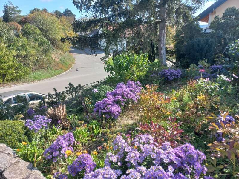 Bungalow in Raschala - Bild 22 Bungalow in Raschala - Bild 22