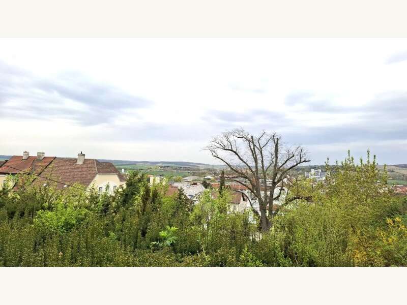 Villa in Hollabrunn - Bild 8