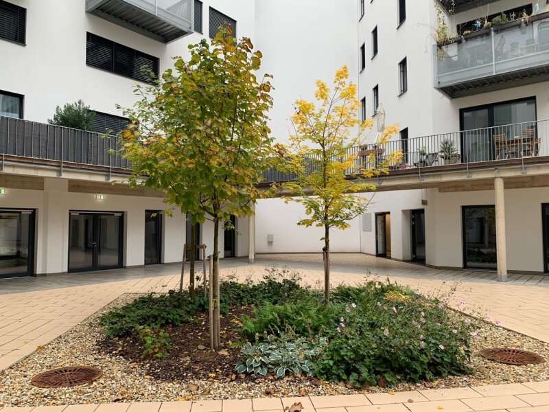 Mietwohnung in Wien - Bild 11