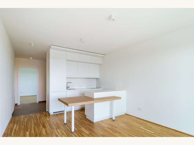 Apartement in Wien - Bild 7