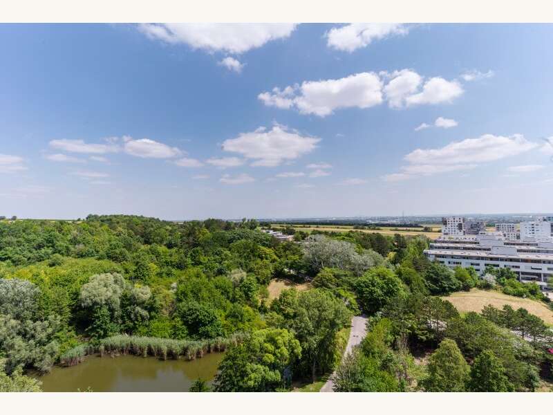 Mietwohnung in Wien - Bild 2 Mietwohnung in Wien - Bild 2