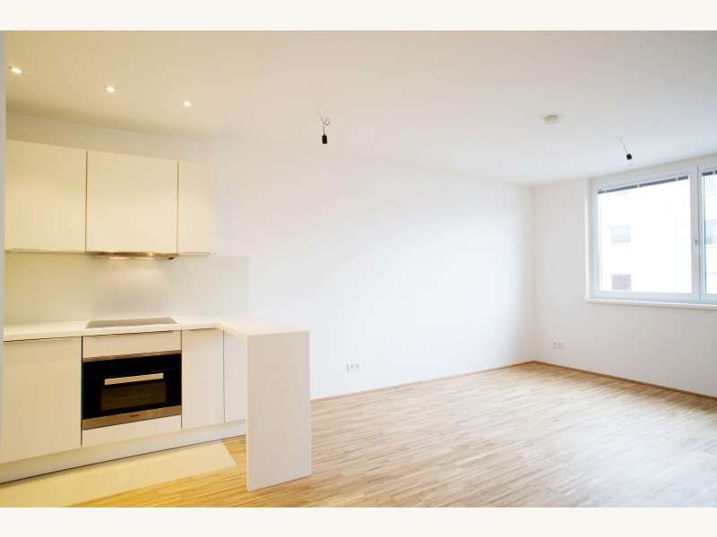 Mietwohnung in Wien - Bild 2