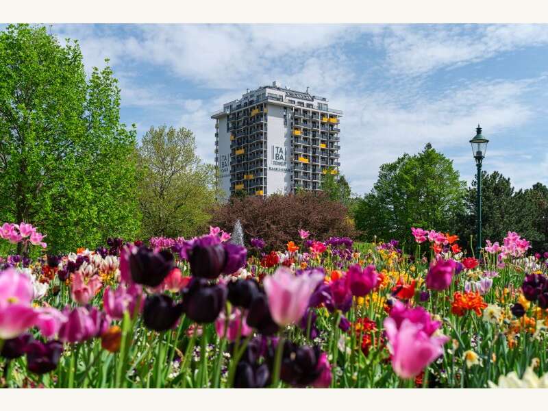 Apartement in Wien - Bild 16