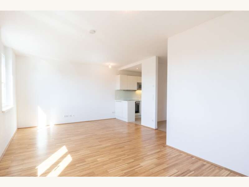 Mietwohnung in Wien - Bild 6