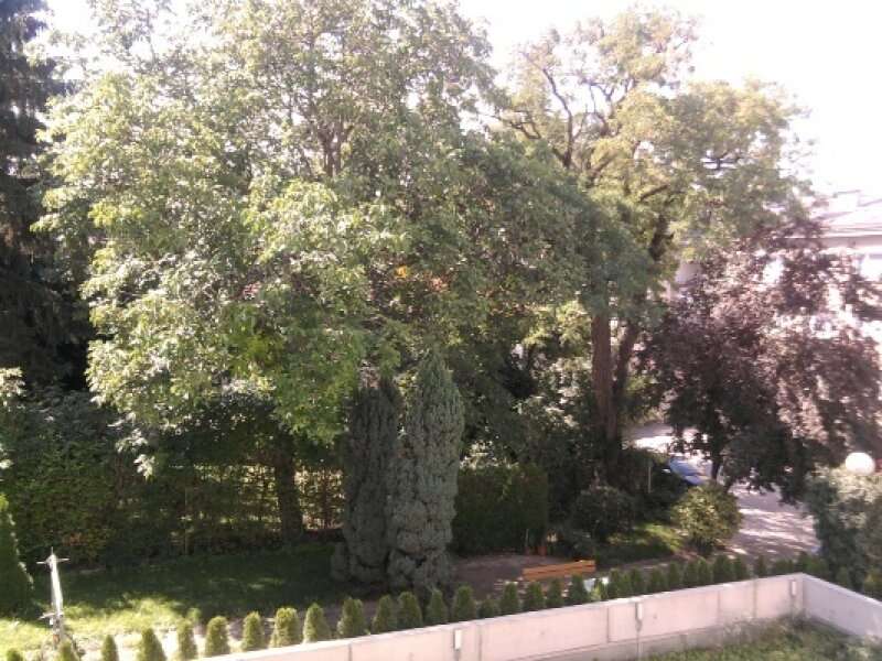 Eigentumswohnung in Wien - Bild 10