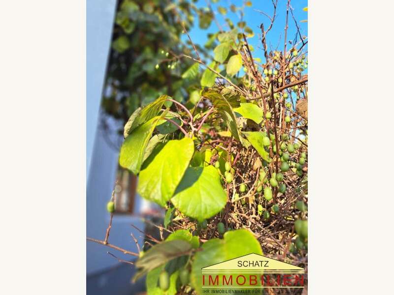 Haus in Weiz - Bild 26