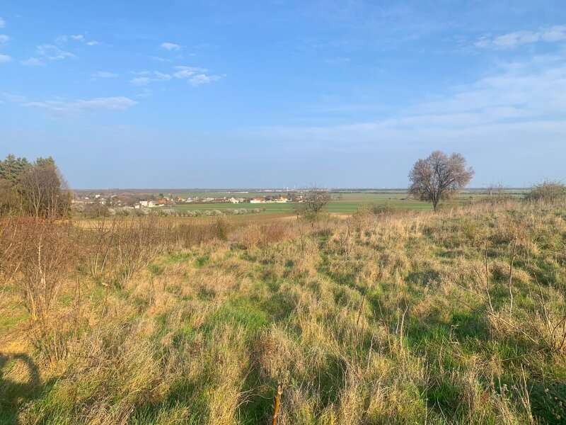 Baugrundstück in Nickelsdorf - Bild 2 Baugrundstück in Nickelsdorf - Bild 2