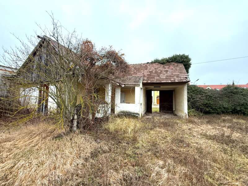 Altbau-Ansicht v. Grundstücksseite