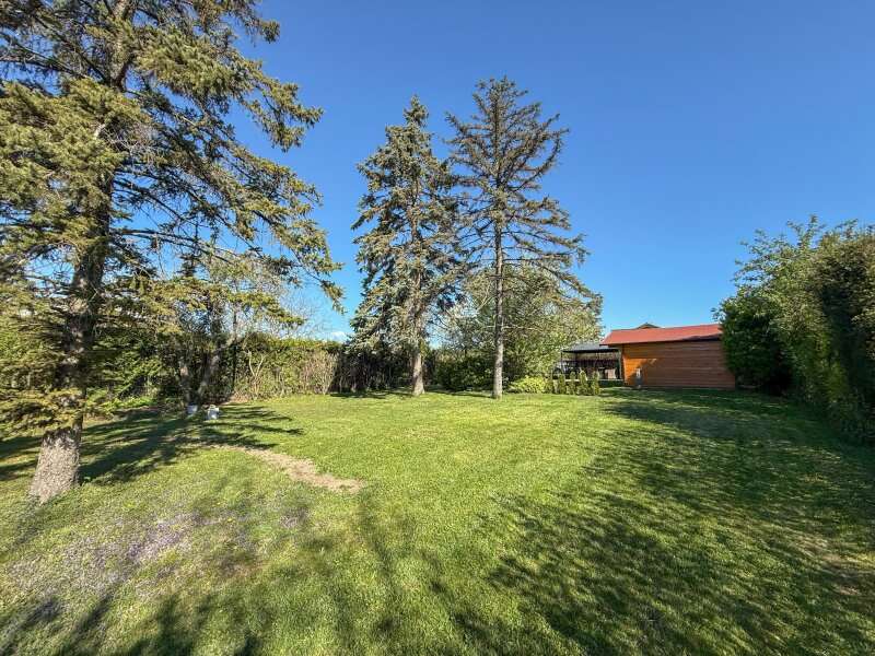 Freizeitgrundstück in Petronell-Carnuntum - Bild 2