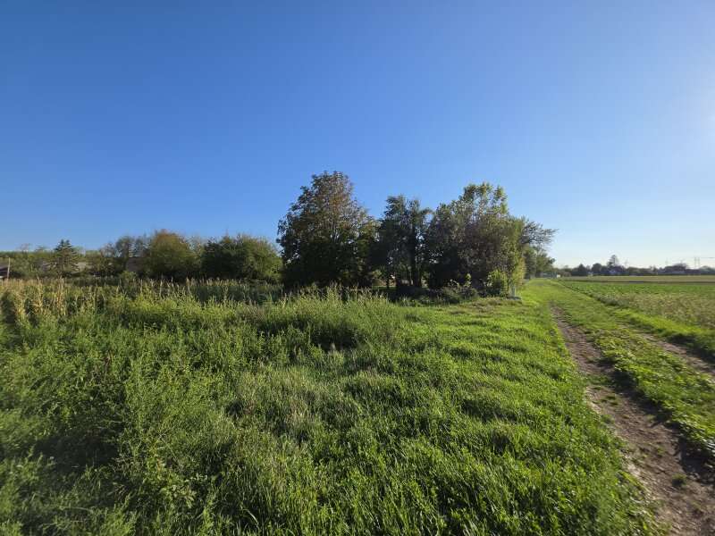 Baugrundstück in Rohrau - Bild 2