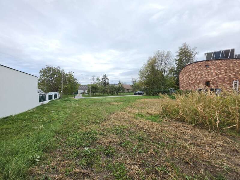 Baugrundstück in Rohrau - Bild 3