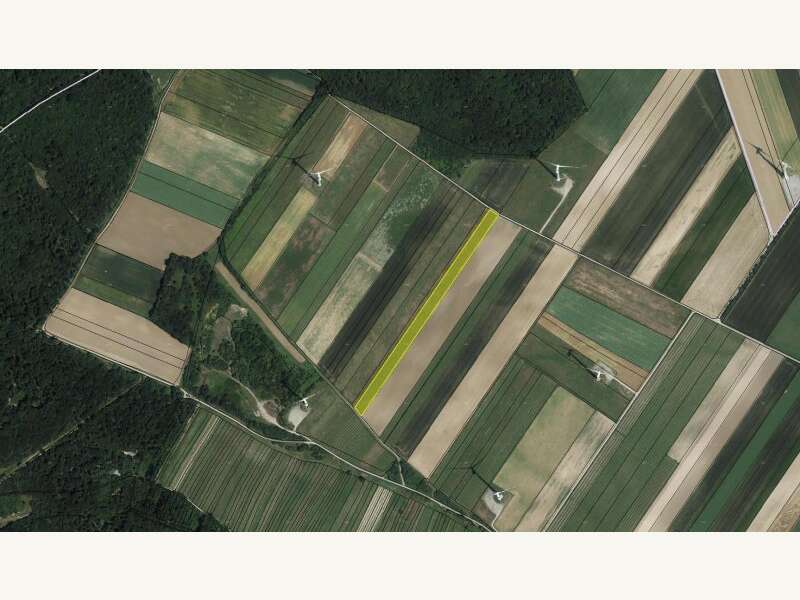 Landwirtschaftsgrund in Höflein - Bild 2
