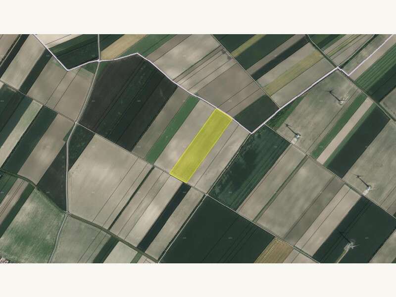 Landwirtschaftsgrund in Höflein - Bild 3