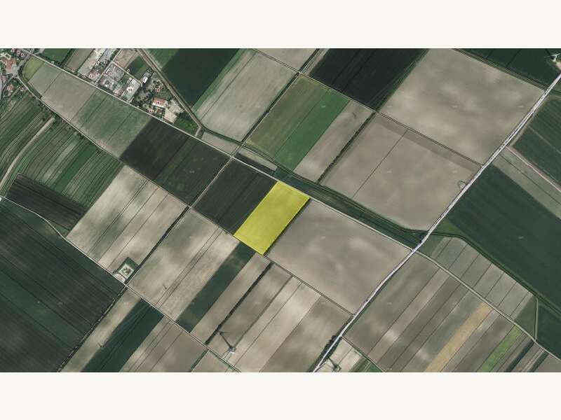 Landwirtschaftsgrund in Höflein - Bild 4