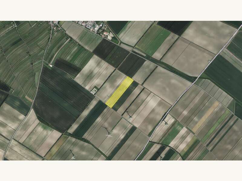 Landwirtschaftsgrund in Höflein - Bild 5