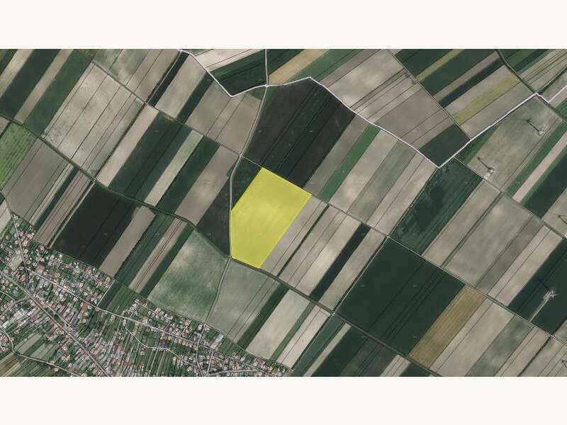 Landwirtschaftsgrund in Höflein - Bild 6