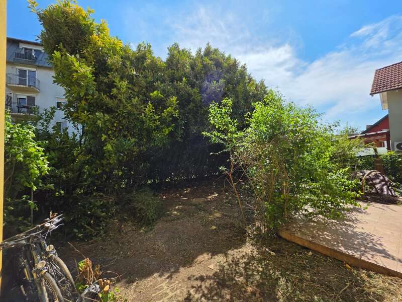 Einfamilienhaus Bruck an der Leitha: Garten Garten