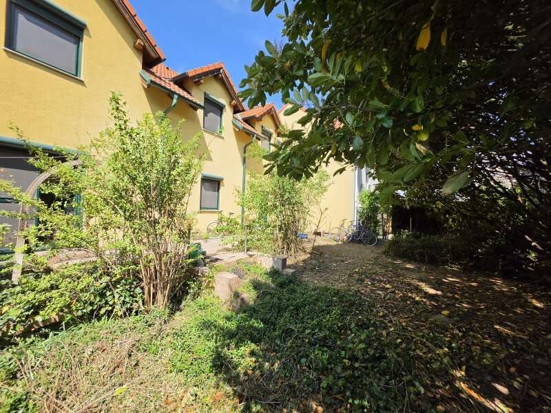 Einfamilienhaus Bruck an der Leitha: Garten Garten