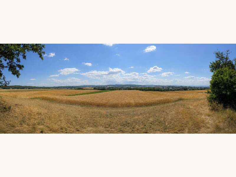 Haus Au am Leithaberge: Impressionen - Ausblick auf Au Impressionen - Ausblick auf Au