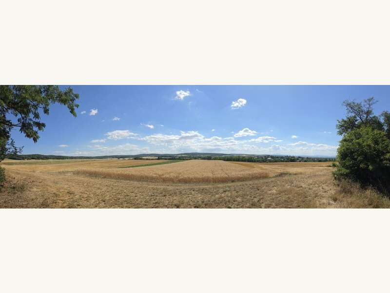 Haus Au am Leithaberge: Impressionen - Ausblick auf Au Impressionen - Ausblick auf Au