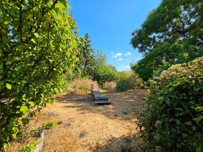 Einfamilienhaus Wildungsmauer: Garten mit Biotop-Teich Garten mit Biotop-Teich