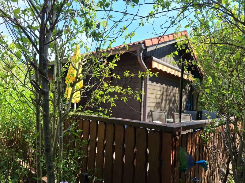 Freizeitgrundstück in Prigglitz - Bild 20