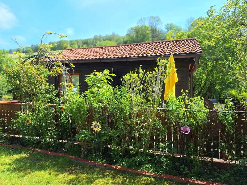 Freizeitgrundstück in Prigglitz - Bild 21