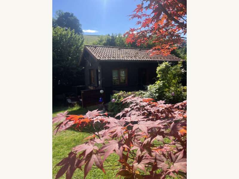 Freizeitgrundstück in Prigglitz - Bild 22