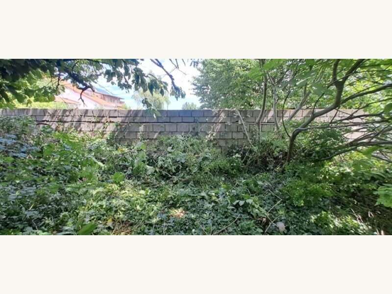 Baugrundstück in Gols - Bild 2 Baugrundstück in Gols - Bild 2