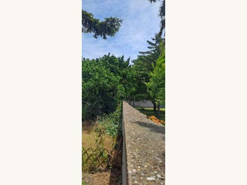 Baugrundstück in Gols - Bild 3 Baugrundstück in Gols - Bild 3