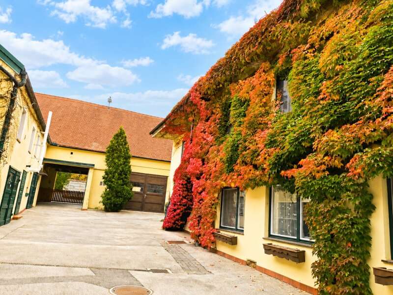 Mehrfamilienhaus in Neunkirchen - Bild 3