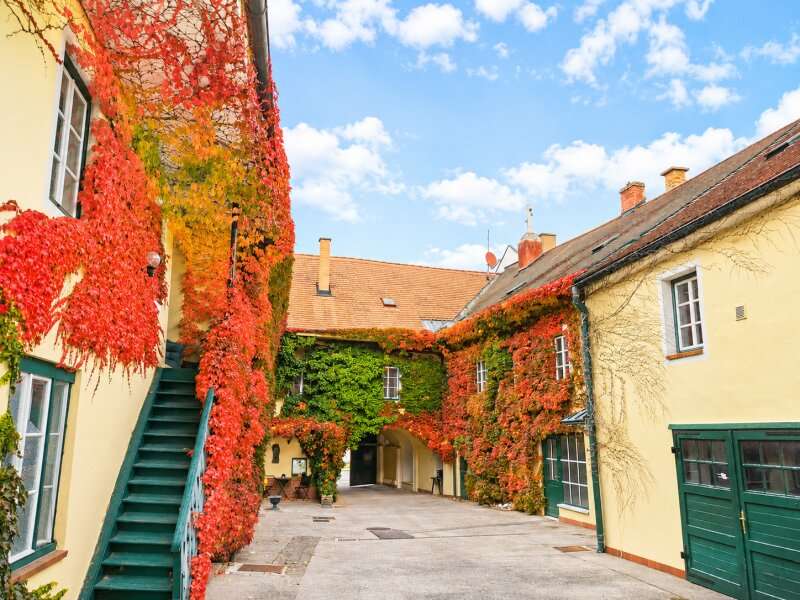 Mehrfamilienhaus in Neunkirchen - Bild 4