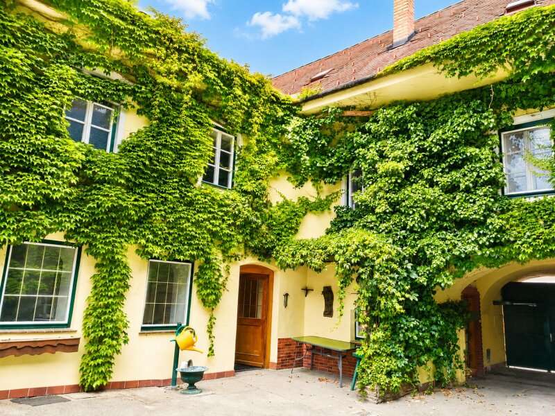 Mehrfamilienhaus in Neunkirchen - Bild 5