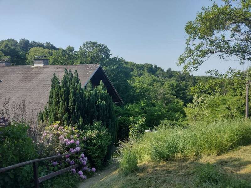 Haus in Neuhaus am Klausenbach - Bild 29