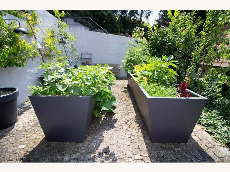 Haus in Hornstein - Bild 23