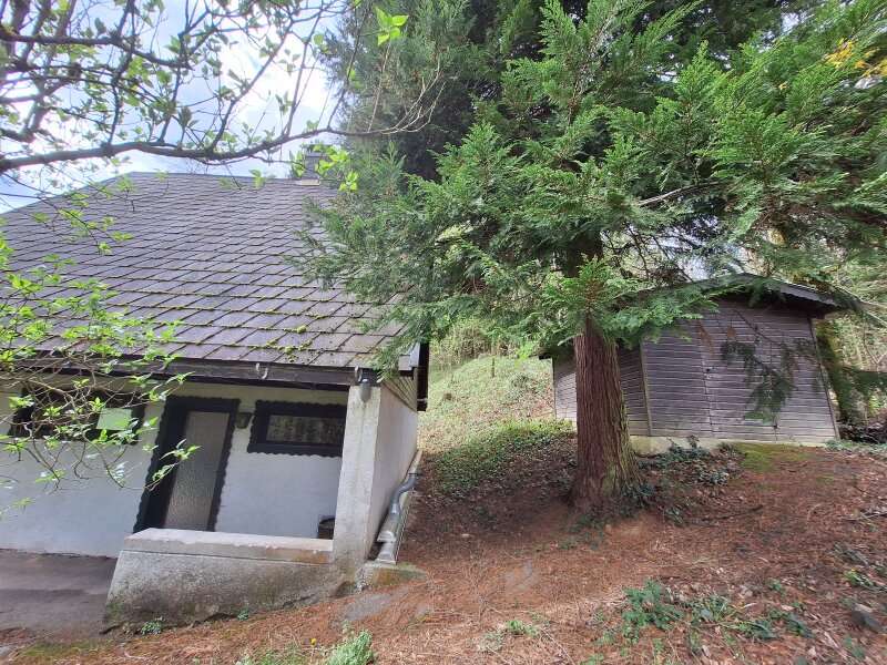 Ferienhaus in Straßhof - Bild 2