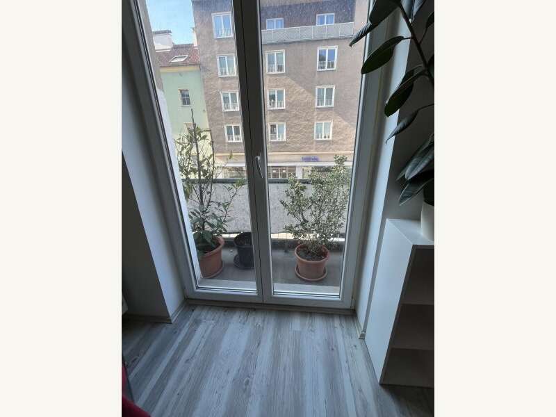 Mietwohnung in Wiener Neustadt - Bild 9
