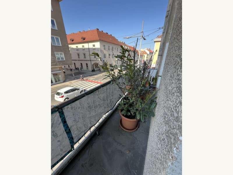 Mietwohnung in Wiener Neustadt - Bild 18