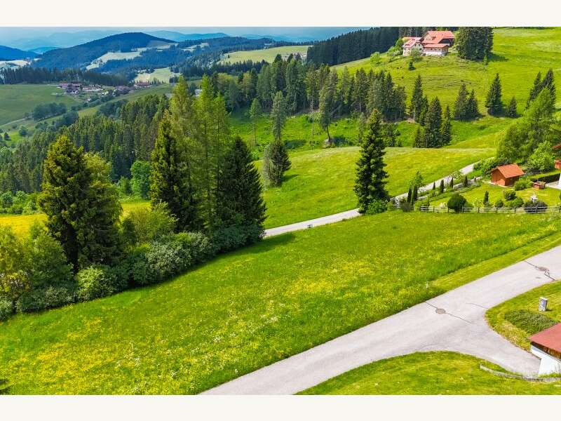 Grundstück in Völkermarkt - Bild 7